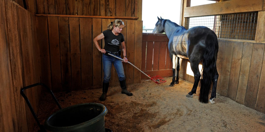 Keeping a horse barn clean can be difficult, and a constant uphill battle. Cleaning a horse barn is something horse owners rarely look forward to. Horse barns in can often be riddled with unproductive cleaning procedures and temporary fixes; so here is a list of tips and tricks you can implement to maintain a healthy clean horse barn. As one of the top custom horse barn builders in Missouri, we know its like to walk into a messy barn. It is wise to learn to keep your work environment clean, healthy, and productive. This will create a much happier experience for both you and your horse. Remember, the horse barn is the horse’s home. As my mother used to remind me regarding keeping my room clean…”Clean and tidy makes you mighty, but drab and dreary makes you weary.” I don’t speak horse very fluently, but I would imagine that horses don’t enjoy an untidy stall that doesn’t cleaned very often or has clutter in it that they have to maneuver around. So here are a few housekeeping items to keep in mind whether you have an existing barn or you are seeking to have a custom horse barn builder to make your barn dreams come true: Stall Mats & Bedding Checks Stall mats can be pricey, but they do cut down on cost and time usually spent cleaning stalls by hand. They also help regulate the amount of bedding regularly used. When choosing your bedding, make sure you purchase the most absorbent type available. Bedding made of wood pellets, peat moss, or shredded newspaper is much more absorbent and contain less dust, mold, or other debris than traditional bedding does. Finding bedding that helps regulate the moisture on the ground will help ensure a healthier barn atmosphere for both you and your animals. Many people like to use cedar shavings because of the fresh cedar scent. While this is a nice option, they are not always economical. The thing to remember here is to use the best product for your budget that your horse responds well to. Remember, this is your horse’s bedding…YOU aren’t sleeping in it. Keep the Area Clean In every moment, learn to find little shortcuts that help maintain a cleaner atmosphere. For example, if you're bringing your horse in from the pasture, choose to pick his feet out before walking him into the barn. This saves you the several extra steps and keeps the dirt on his feet outside your barn, rather than inside. Always keep waste bins near areas where you produce the most trash. Feeding rooms or grooming areas are common trash collection areas in a well designed custom horse barn. So be prepared to make a mess, but more importantly, be ready to clean it up quickly and plan out your barn to reduce the amount of work require to keep things tidy. Managing a barn is very hard work so keep things in mind that promote efficiency. Coordinating Feed Pickup If your horse is boarded, and your barn does not already supply feed, shavings, or other supplies, coordinate with the borders what times to stock and deliver these items. Remaining organized is the first step toward a cleaner barn and lifestyle. If you have the land available, research owning a barn yourself. As one of the top custom horse barn builders in Missouri, we are only a call away from providing you with the horse barn of your dreams! Blanket Cleaning & Storage Making sure to clean and store winter blankets properly during the summer months can significantly reduce your work when the winter months arrive. Much time can be lost scrambling to find the right blankets, and cleaning them moments before your horses need them. Always staying one step ahead can significantly increase productivity. Most of all, prioritize yourd time management. As Custom horse barn builders in Missouri, it is our priority that you are happy with your horse’s home. Caring for your animal can start by caring for their home. Learn to love their environment as much as they do. By using these simple maintenance tips, you are already one step closer to ensuring a happy horse and a happy barn. If you are thinking of having a new barn or arena built, please contact CSI to see how we can help design and plan a beautiful, functional barn for your horse’s needs.